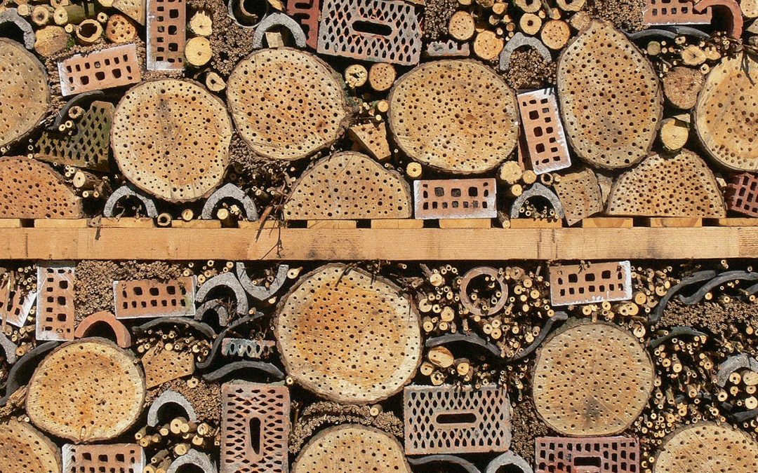 Découvrez nos promotions de lancement