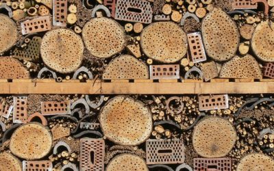 Découvrez nos promotions de lancement