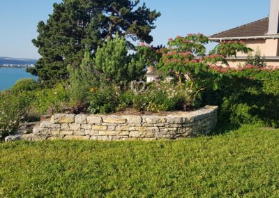 Gazon fleuri - 1ère année