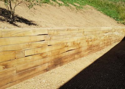 Chêne des forêts de la région