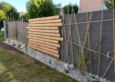 Plantes grimpantes sur une palissade conceptuelle