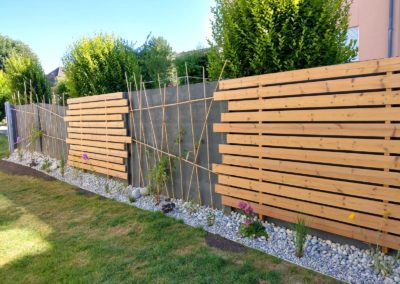 Espaliers « concept »